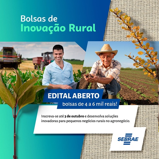 RO : Sebrae launches first public notice to select scholarship holders to work in rural innovation thumbnail