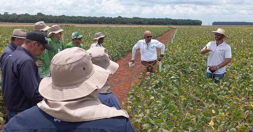 Ocorrência de pragas, doenças e plantas daninhas na safra de soja 2021/22 em Mato Grosso thumbnail